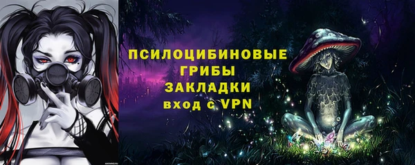 винт Арсеньев