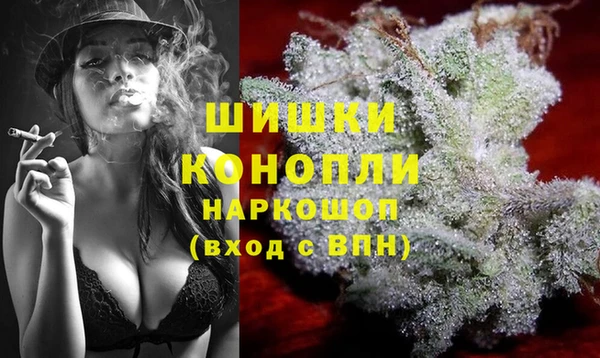 винт Арсеньев