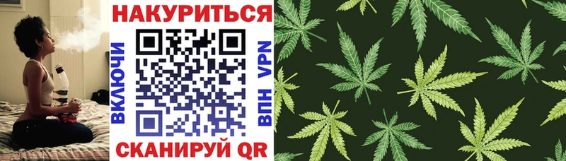 Бошки марихуана OG Kush  где найти   Бавлы 